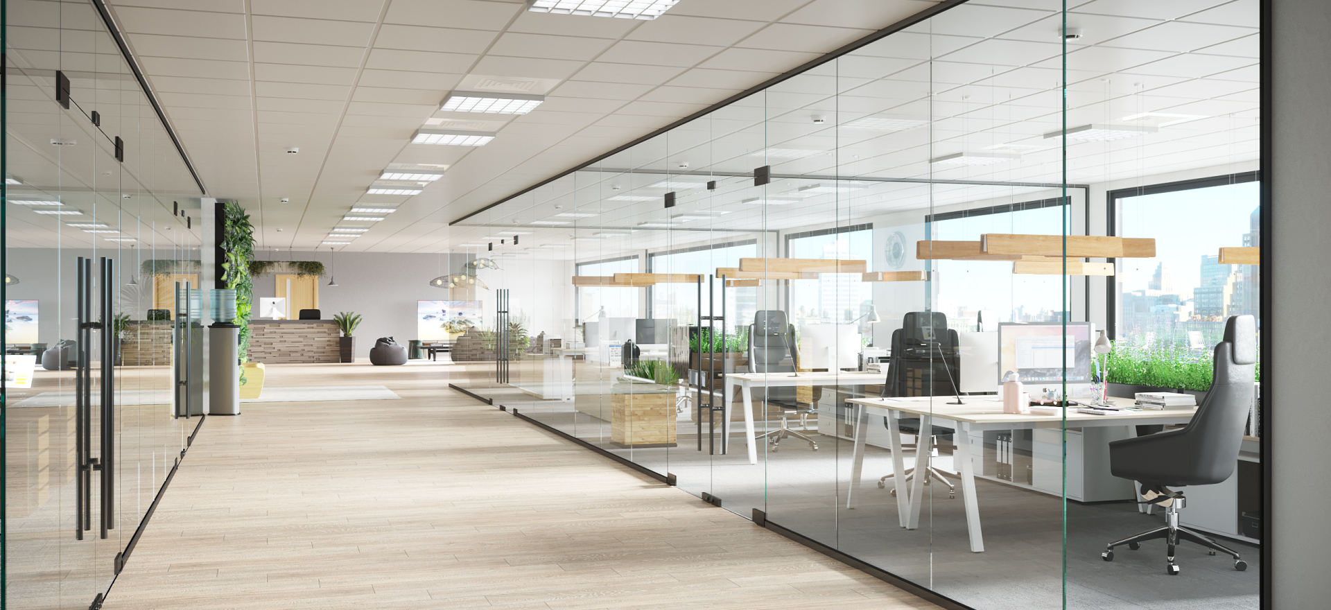 Frameless Glass Partitions