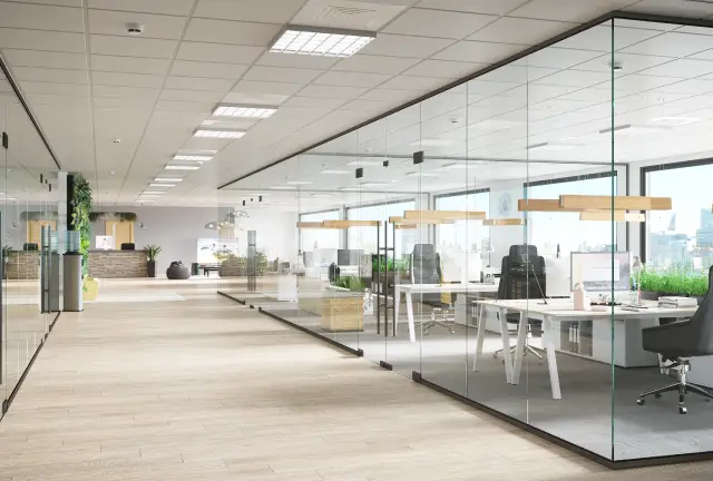 Frameless Glass Partitions