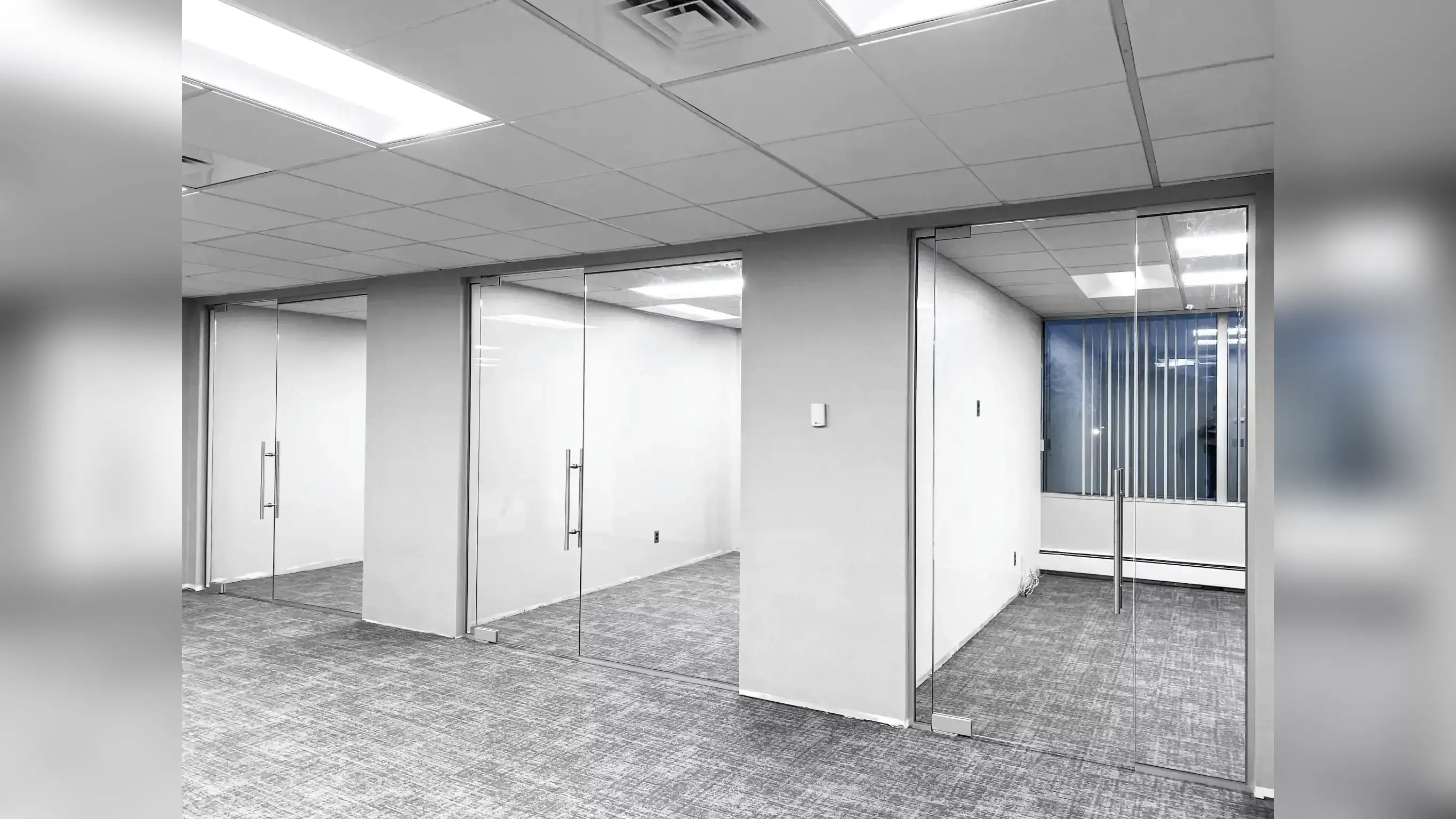 Frameless Partition – Swing Doors